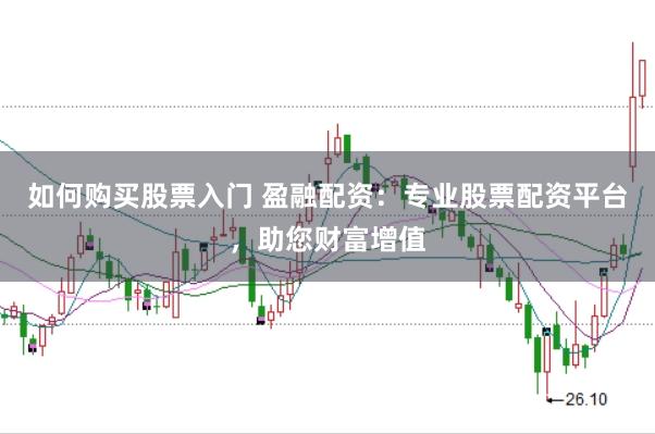 如何购买股票入门 盈融配资：专业股票配资平台，助您财富增值