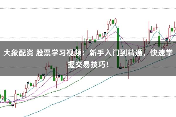 大象配资 股票学习视频：新手入门到精通，快速掌握交易技巧！